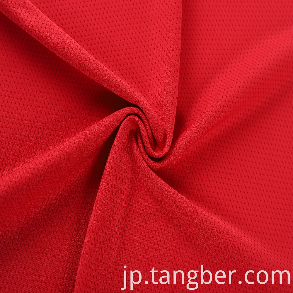 Polyester Mesh Fabric